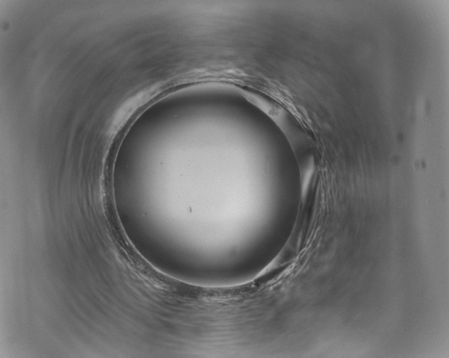 X0000072990340200608041314