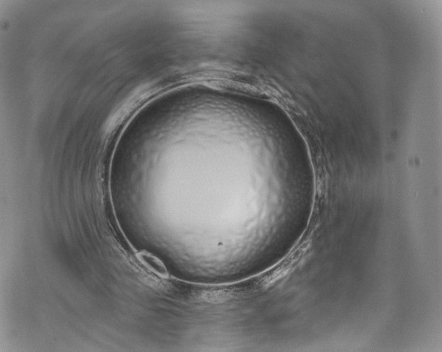 X0000072990341200608041314