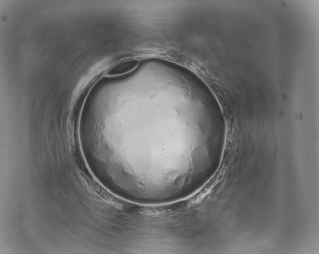 X0000072990343200608041314