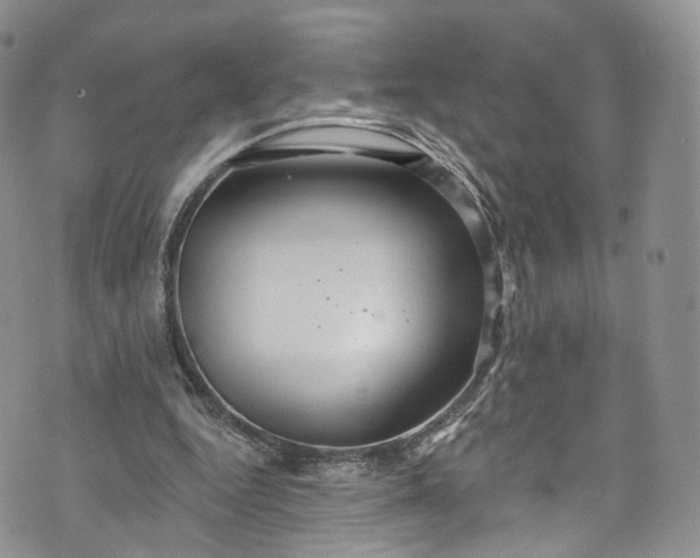 X0000072990344200608041314