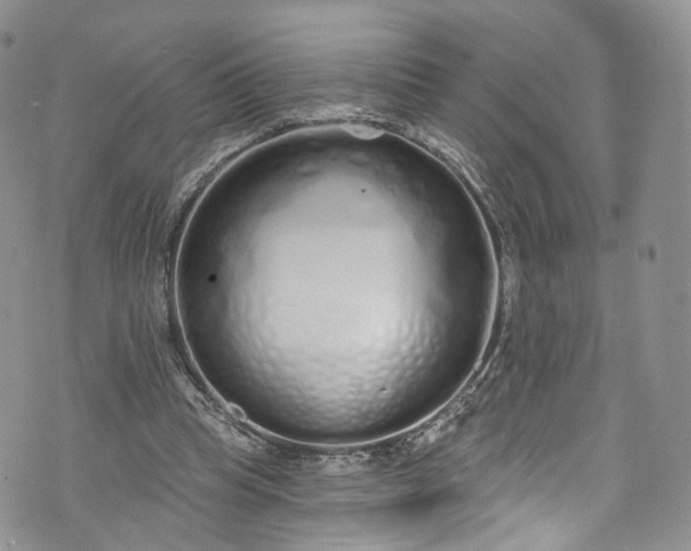 X0000072990345200608041314