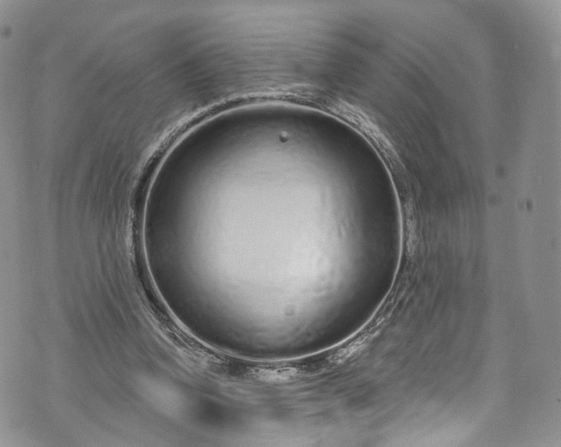 X0000072990346200608041314