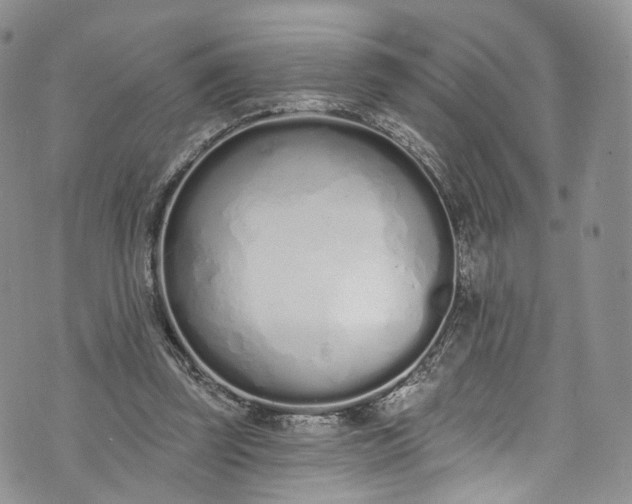 X0000072990347200608041314