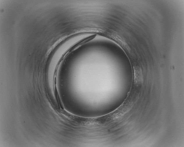 X0000072990348200608041314