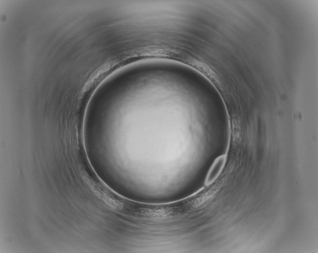 X0000072990349200608041314