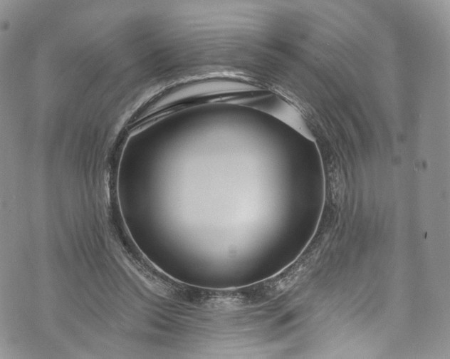 X0000072990350200608041314