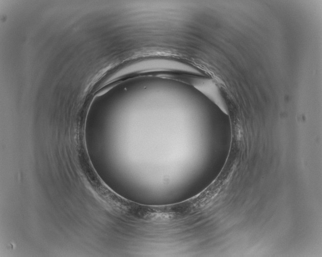 X0000072990352200608041314