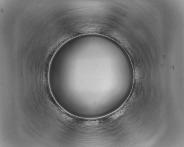 X0000072990353200608041314