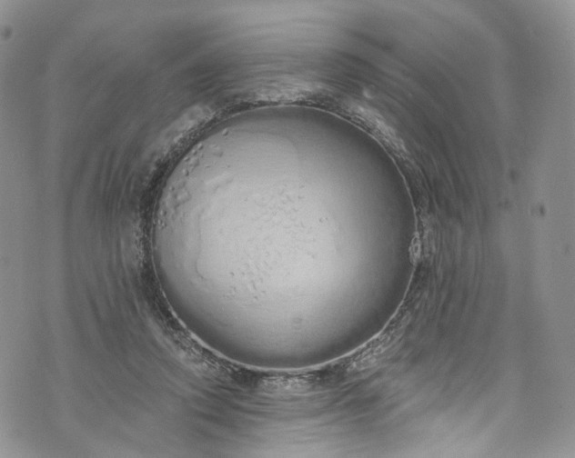 X0000072990354200608041314