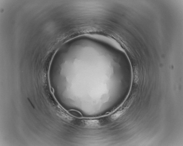 X0000072990355200608041314