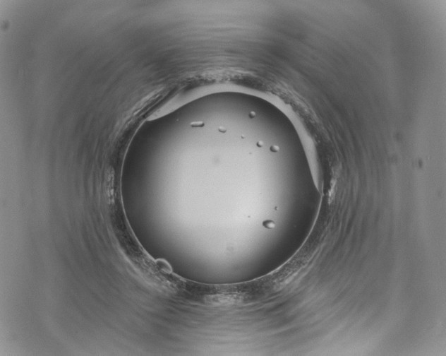 X0000072990356200608041314