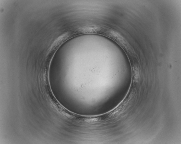 X0000072990357200608041314