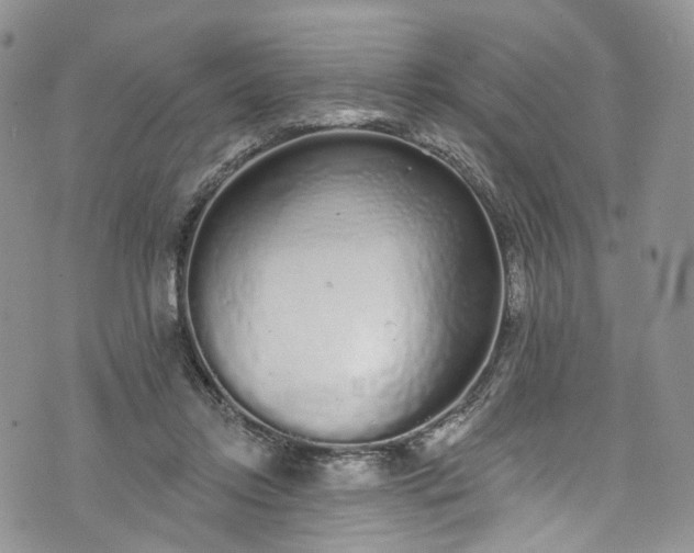 X0000072990358200608041314