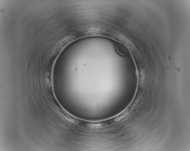 X0000072990361200608041314