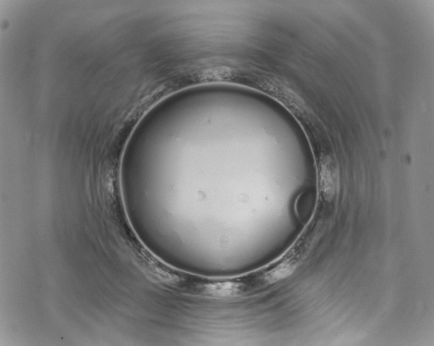 X0000072990363200608041314