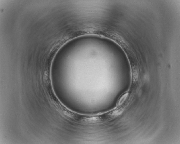 X0000072990365200608041314