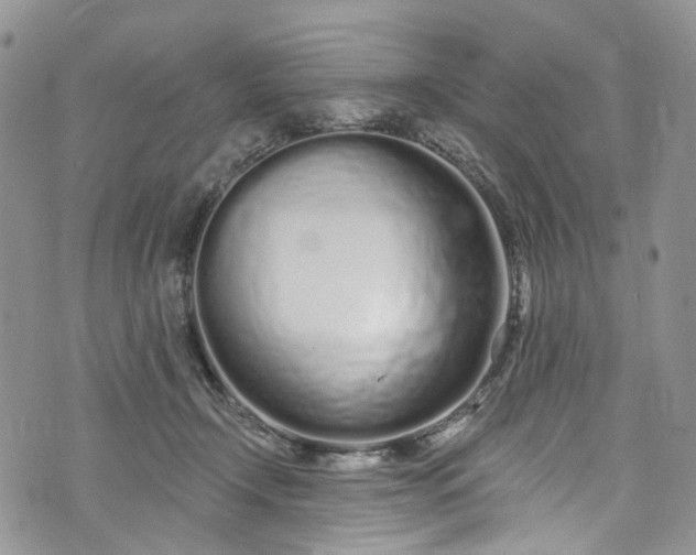 X0000072990366200608041314