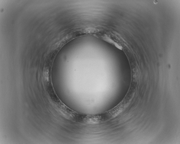 X0000072990368200608041314