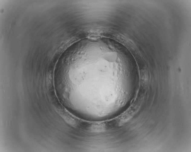 X0000072990369200608041314