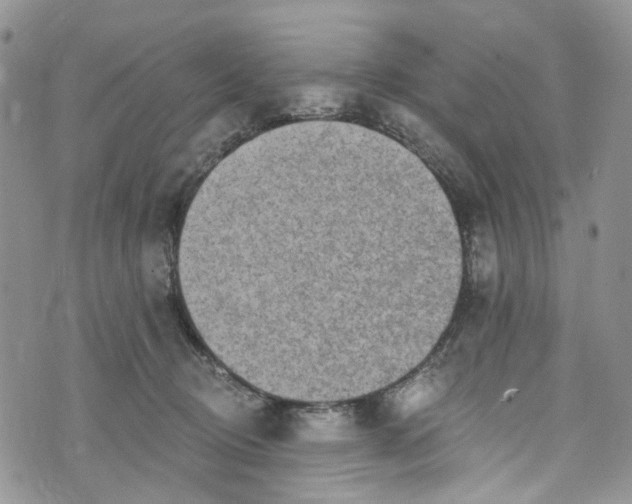 X0000072990370200608041314