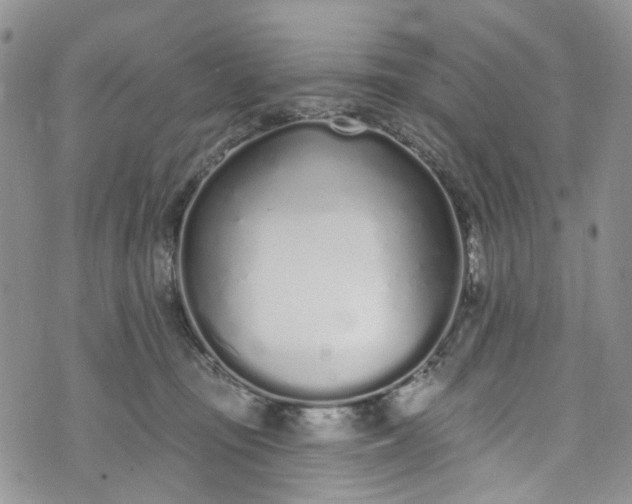 X0000072990371200608041314