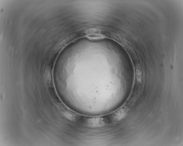 X0000072990375200608041314