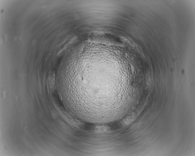 X0000072990376200608041314