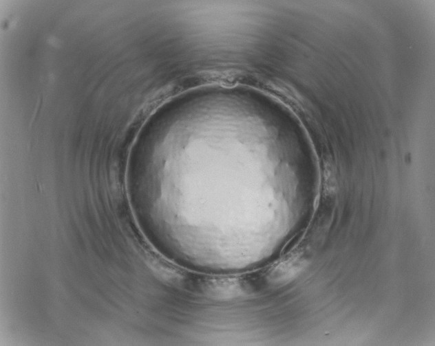 X0000072990377200608041314