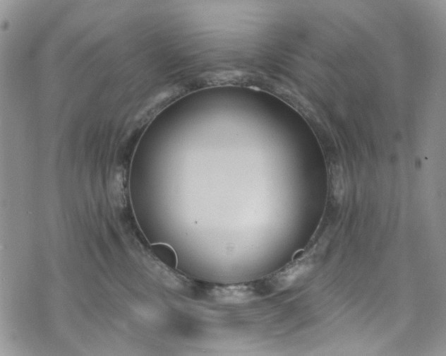 X0000072990378200608041314