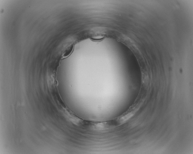 X0000072990382200608041314