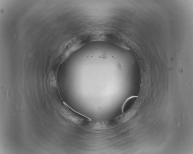 X0000072990384200608041314