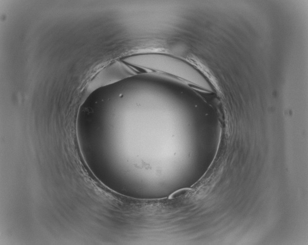 X0000072990385200608041313