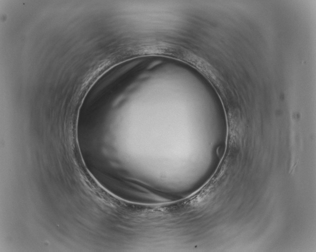 X0000072990386200608041313