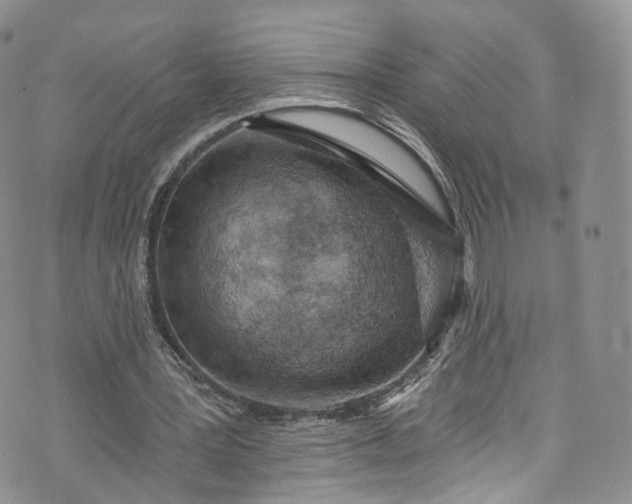 X0000072990387200608041313