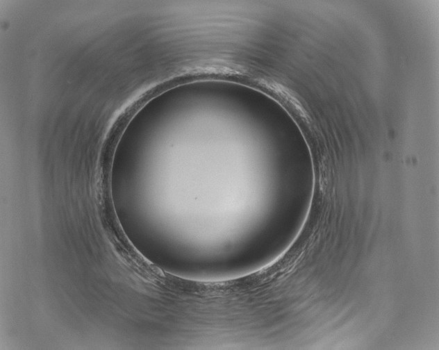 X0000072990388200608041313