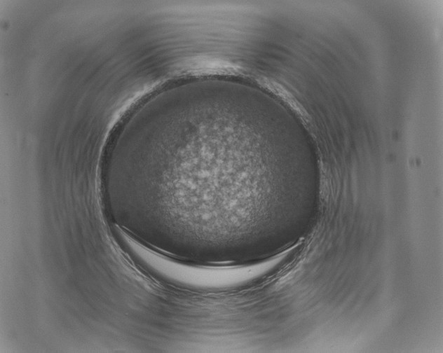 X0000072990391200608041313