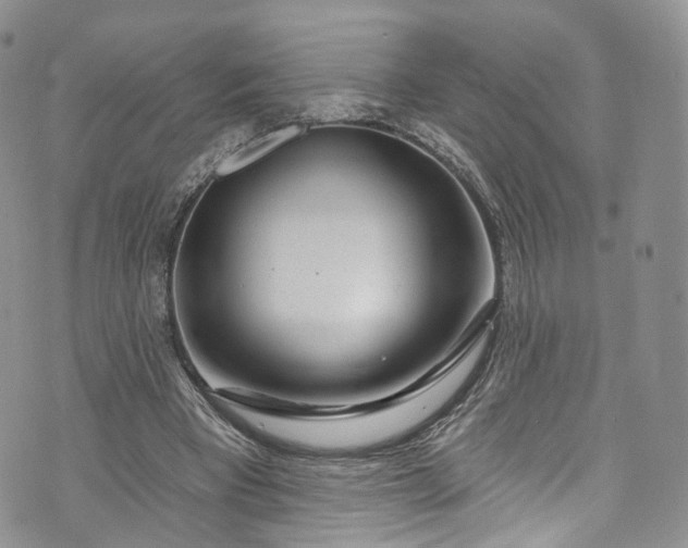 X0000072990393200608041313