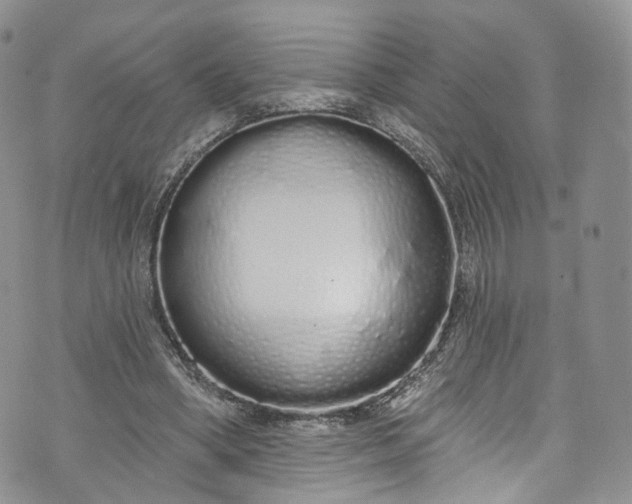 X0000072990394200608041313