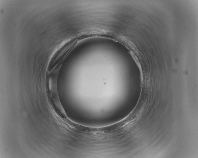 X0000072990395200608041313