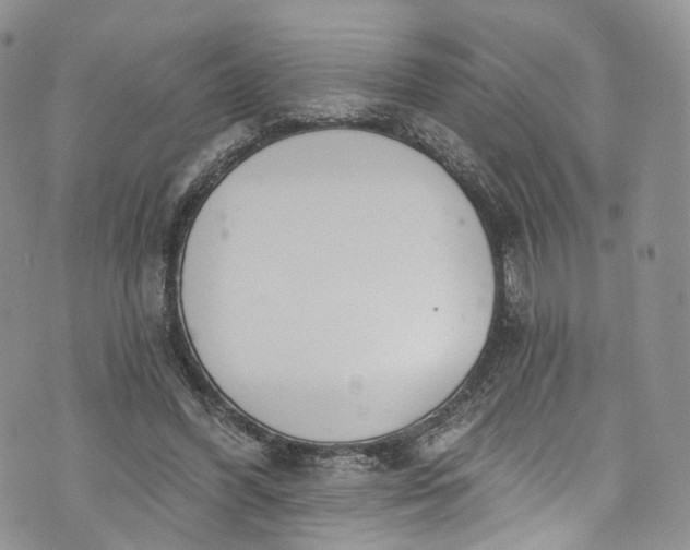 X0000072990396200608041313