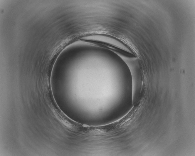 X0000072990397200608041313