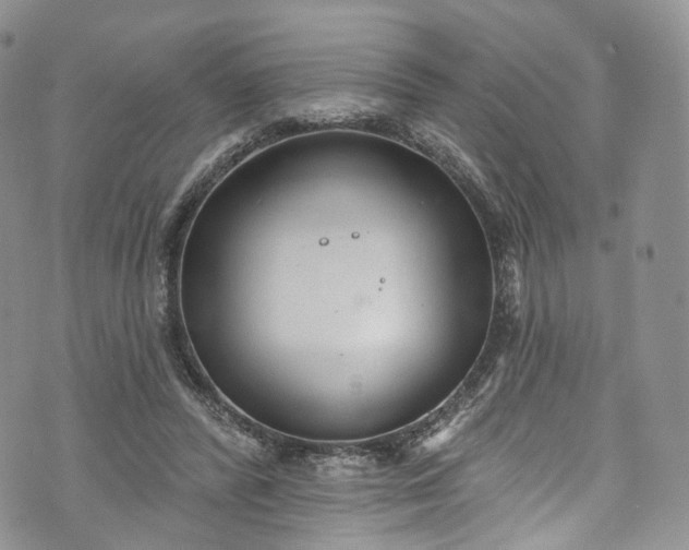 X0000072990400200608041313