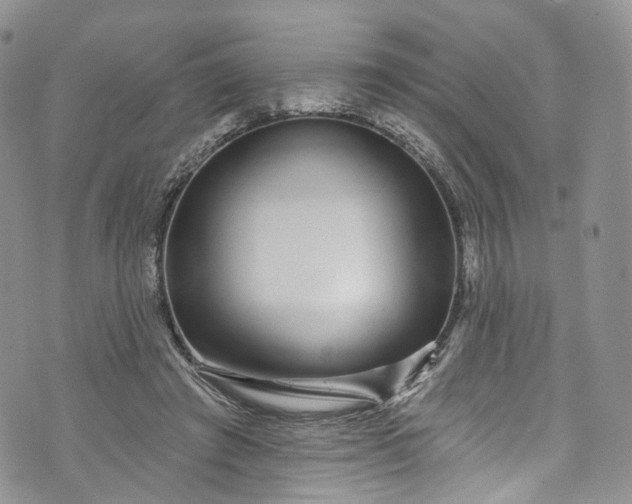 X0000072990401200608041313