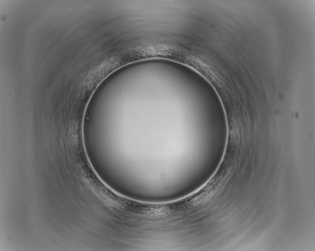 X0000072990402200608041313