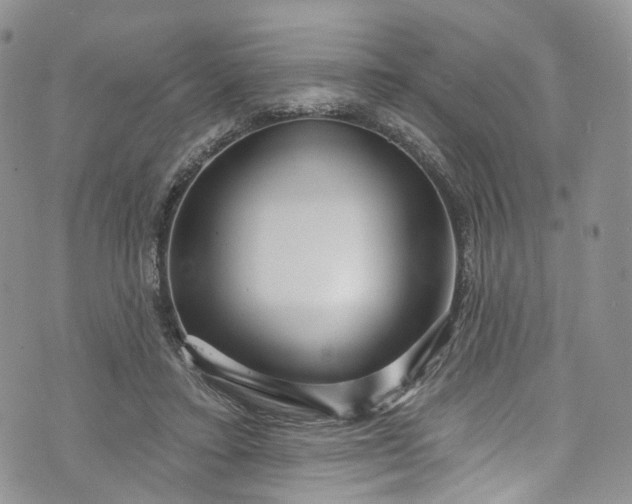 X0000072990403200608041313