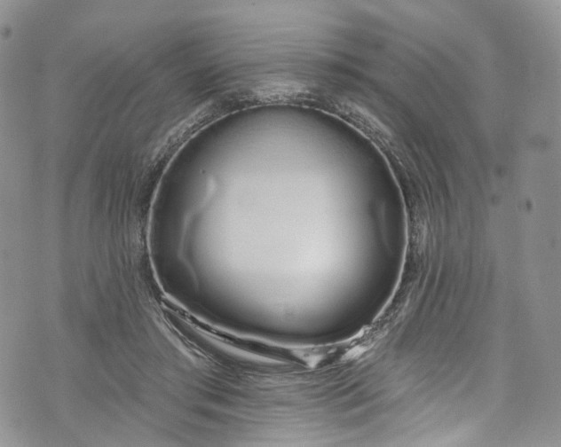 X0000072990405200608041313