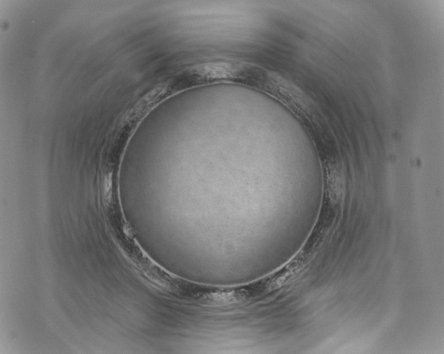 X0000072990406200608041313