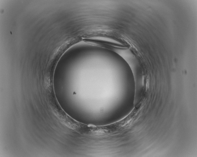 X0000072990407200608041313