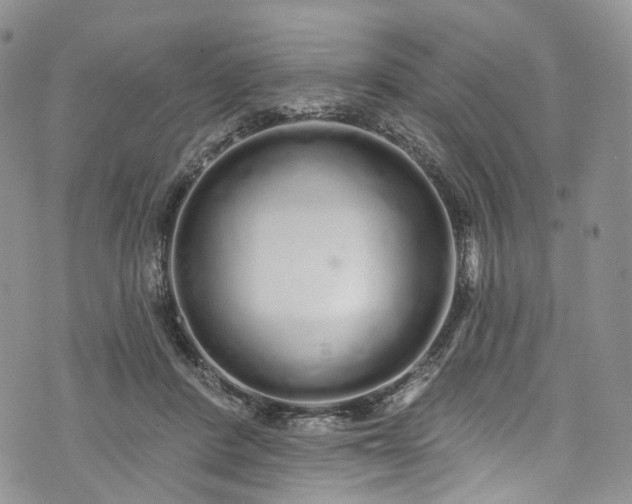 X0000072990408200608041313