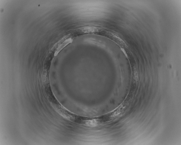 X0000072990411200608041313